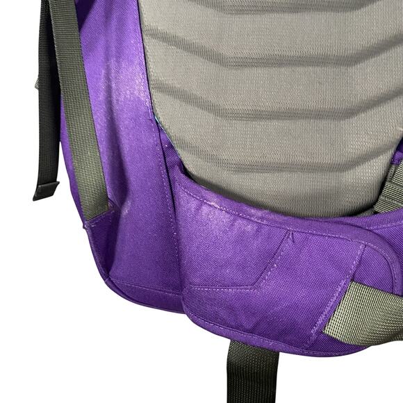 Patagonia Critical Mass 22L Daypack Backpack School Bag Laptop Sleeve Purple main image 5